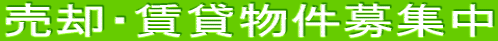 ���p�E���ݕ�����W��